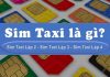Số điện thoại taxi thường có cấu trúc lặp lại giúp dễ nhớ